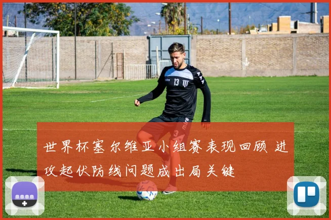 世界杯塞尔维亚小组赛表现回顾 进攻起伏防线问题成出局关键