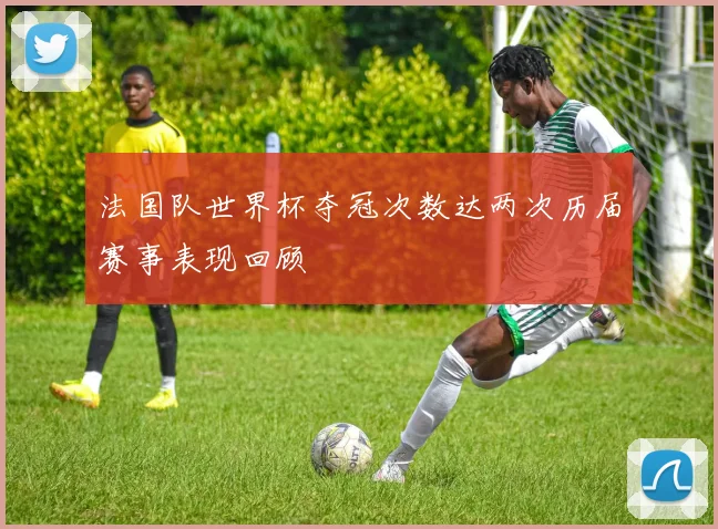 法国队世界杯夺冠次数达两次历届赛事表现回顾