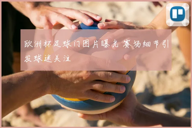 欧洲杯足球门图片曝光 赛场细节引发球迷关注