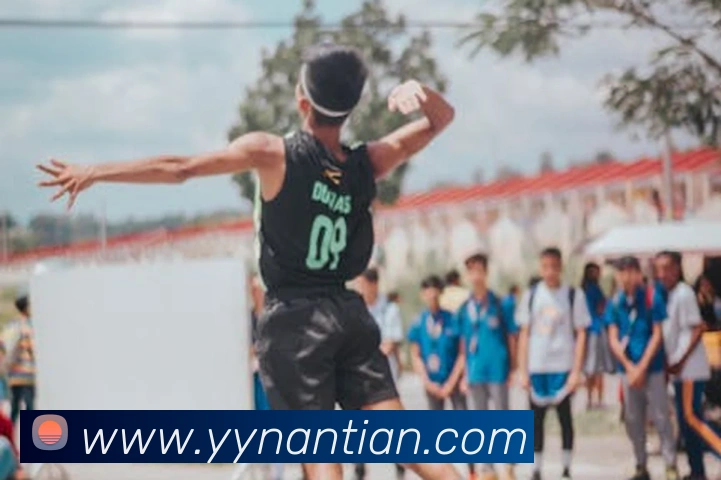 东升国际手机版下载平台生态图