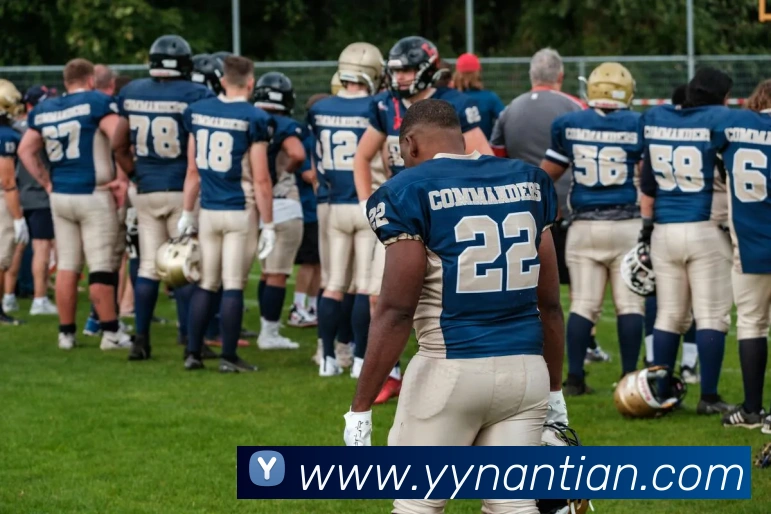 东升国际手机版下载APP 封面图